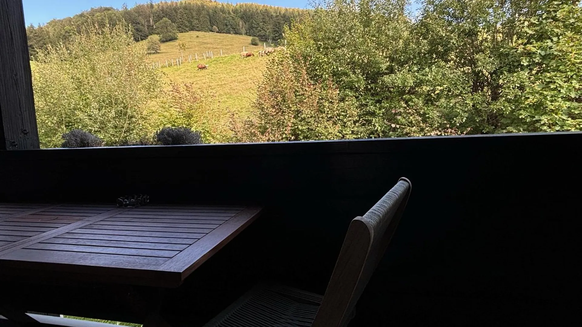 Staufennest Apartment Oberstaufen